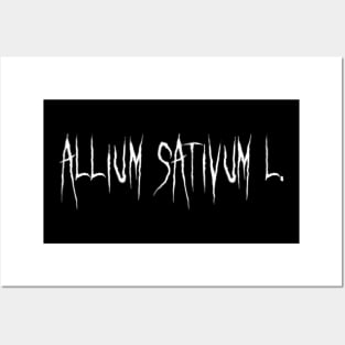 Allium sativum Posters and Art